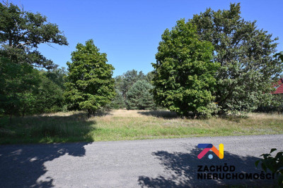 Na sprzedaż działka budowlana - Niwiska -
lubuskie Zdjęcie nr 2