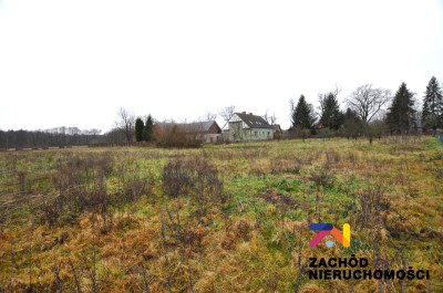 Na sprzedaż działka budowlana - Zielona Góra -
lubuskie Zdjęcie nr 2