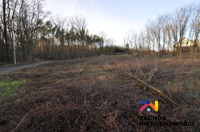 Na sprzedaż działka budowlana - Cigacice - lubuskie