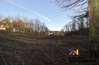 Na sprzedaż działka budowlana - Cigacice -
lubuskie Zdjęcie nr 2