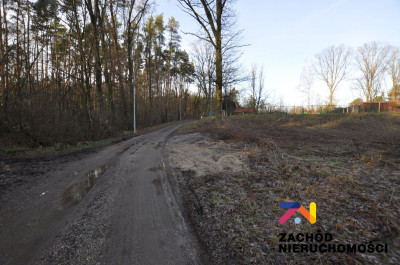 Na sprzedaż działka budowlana - Cigacice -
lubuskie Zdjęcie nr 3