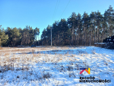Na sprzedaż działka budowlana - Przytok - lubuskie