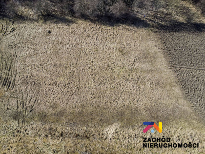 Na sprzedaż działka budowlana - Zielona Góra -
lubuskie Zdjęcie nr 7