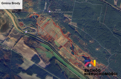 Na sprzedaż działka rolna - Brody - lubuskie