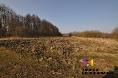 Na sprzedaż działka rolna - Zielona Góra - lubuskie