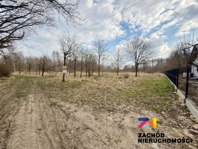 Na sprzedaż działka budowlana - Leśna Góra -
lubuskie Zdjęcie nr 4