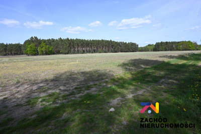 Na sprzedaż działka budowlana - Bronków - lubuskie