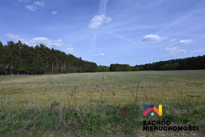 Na sprzedaż działka budowlana - Bronków - lubuskie