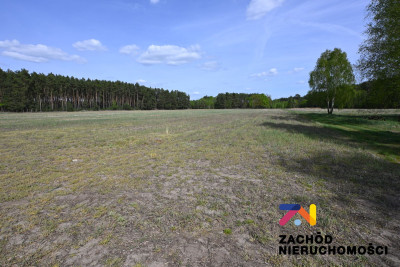 Na sprzedaż działka budowlana - Bronków -
lubuskie Zdjęcie nr 3