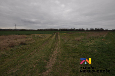 Na sprzedaż działka rolna - Zielona Góra -
lubuskie Zdjęcie nr 3
