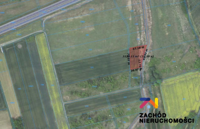 Na sprzedaż działka rolna - Zielona Góra -
lubuskie Zdjęcie nr 3