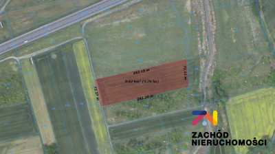 Na sprzedaż działka rolna - Zielona Góra -
lubuskie Zdjęcie nr 4