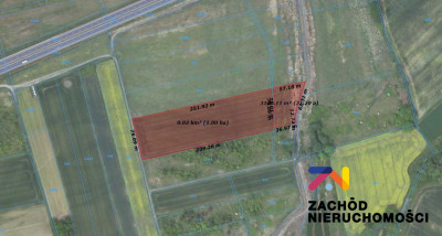 Na sprzedaż działka rolna - Zielona Góra -
lubuskie Zdjęcie nr 5