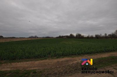 Na sprzedaż działka rolna - Zielona Góra -
lubuskie Zdjęcie nr 6
