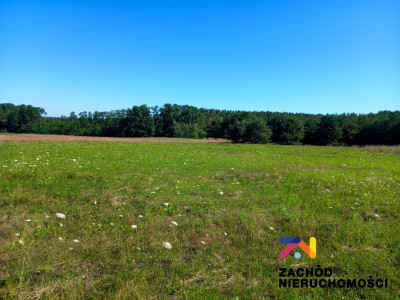 Na sprzedaż działka przemysłowa - Droszków -
lubuskie Zdjęcie nr 2