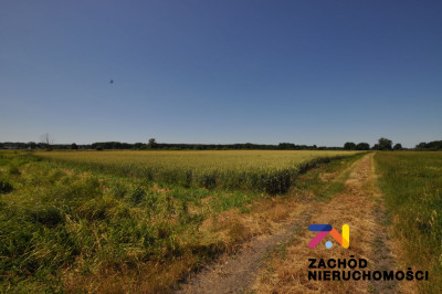 Na sprzedaż działka rolna - Zielona Góra - lubuskie