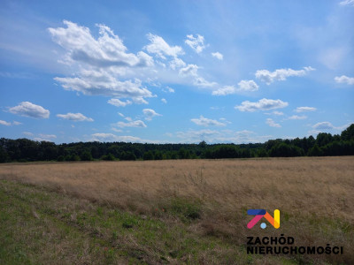 Na sprzedaż działka budowlana - Zabór -
lubuskie Zdjęcie nr 5