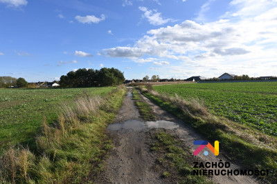 Na sprzedaż działka budowlana - Niedoradz -
lubuskie Zdjęcie nr 11