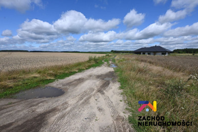 Na sprzedaż działka budowlana - Niedoradz -
lubuskie Zdjęcie nr 9