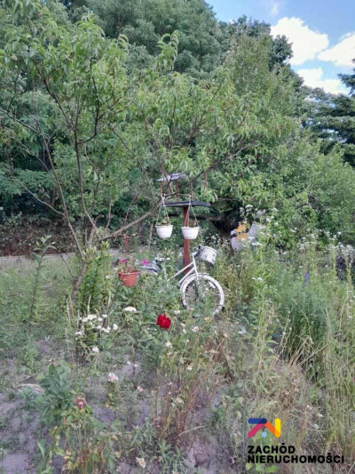 Na sprzedaż działka rolna - Zielona Góra -
lubuskie Zdjęcie nr 10