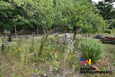 Na sprzedaż działka rolna - Zielona Góra -
lubuskie Zdjęcie nr 13