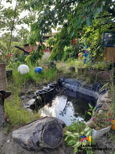 Na sprzedaż działka rolna - Zielona Góra -
lubuskie Zdjęcie nr 3