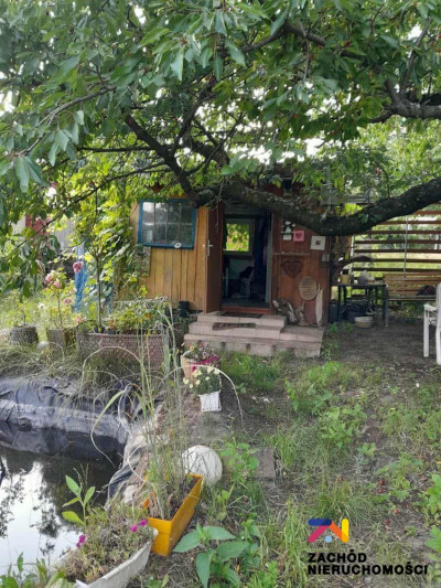 Na sprzedaż działka rolna - Zielona Góra -
lubuskie Zdjęcie nr 5