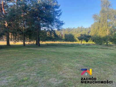 Na sprzedaż działka budowlana - Brody -
lubuskie Zdjęcie nr 6