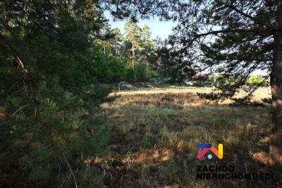 Na sprzedaż działka budowlana - Wilkanowo -
lubuskie Zdjęcie nr 2