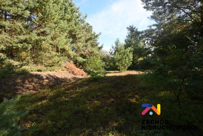 Na sprzedaż działka budowlana - Radomia -
lubuskie Zdjęcie nr 2