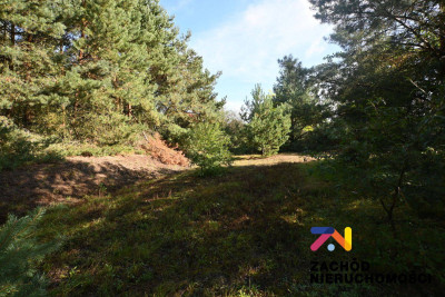 Na sprzedaż działka budowlana - Radomia -
lubuskie Zdjęcie nr 2