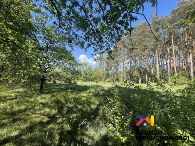 Na sprzedaż działka budowlana - Zielona Góra -
lubuskie Zdjęcie nr 3