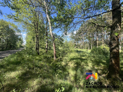 Na sprzedaż działka budowlana - Zielona Góra -
lubuskie Zdjęcie nr 4