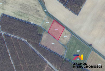 Na sprzedaż działka rolna - Bogaczów - lubuskie