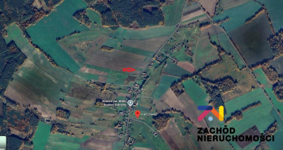 Na sprzedaż działka rolna - Karczówka -
lubuskie Zdjęcie nr 4