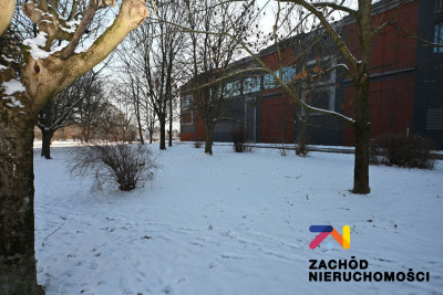 Na sprzedaż działka inwestycyjna - Gubin -
lubuskie Zdjęcie nr 6