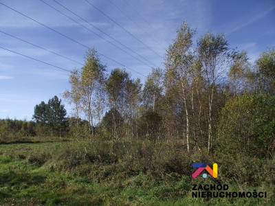 Na sprzedaż działka budowlana - Radomia -
lubuskie Zdjęcie nr 2