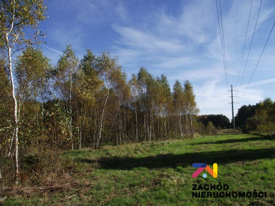 Na sprzedaż działka budowlana - Radomia -
lubuskie Zdjęcie nr 5