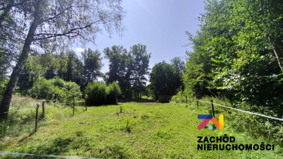 Na sprzedaż działka budowlana - Zielona Góra -
lubuskie Zdjęcie nr 4