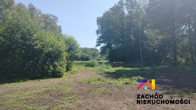 Na sprzedaż działka budowlana - Zielona Góra -
lubuskie Zdjęcie nr 5