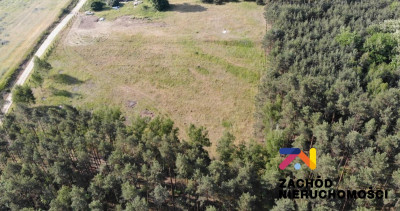 Na sprzedaż działka budowlana -
lubuskie Zdjęcie nr 2