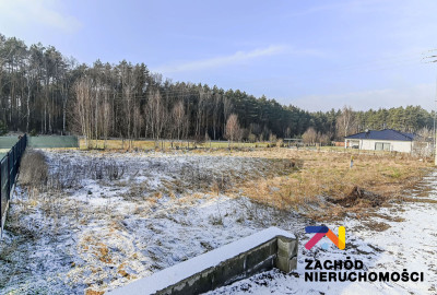Na sprzedaż działka budowlana - Zielona Góra -
lubuskie Zdjęcie nr 2