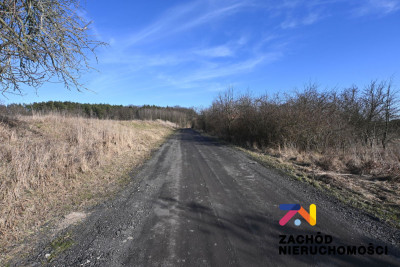 Na sprzedaż działka budowlana - Drągowina -
lubuskie Zdjęcie nr 5