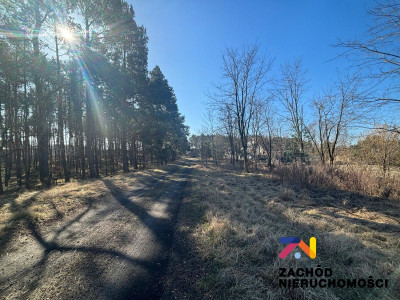Na sprzedaż działka budowlana - Zielona Góra -
lubuskie Zdjęcie nr 3