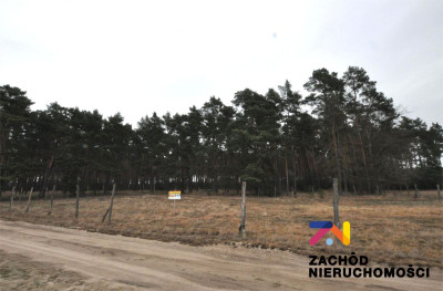 Na sprzedaż działka budowlana - Bronków -
lubuskie Zdjęcie nr 3