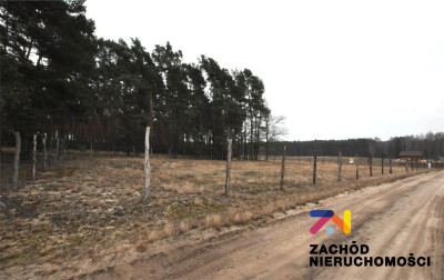 Na sprzedaż działka budowlana - Bronków -
lubuskie Zdjęcie nr 4