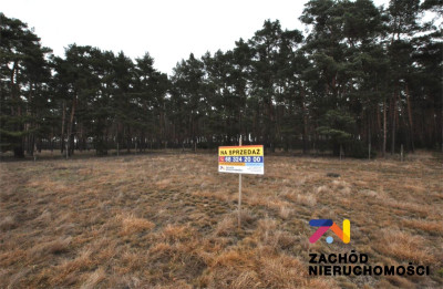 Na sprzedaż działka budowlana - Bronków -
lubuskie Zdjęcie nr 5