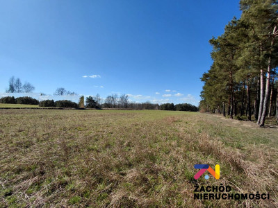 Na sprzedaż działka budowlana - Lubieszów - lubuskie