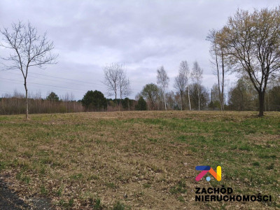 Na sprzedaż działka budowlana - Radomia -
lubuskie Zdjęcie nr 2
