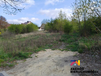 Na sprzedaż działka budowlana - Lubsko -
lubuskie Zdjęcie nr 3